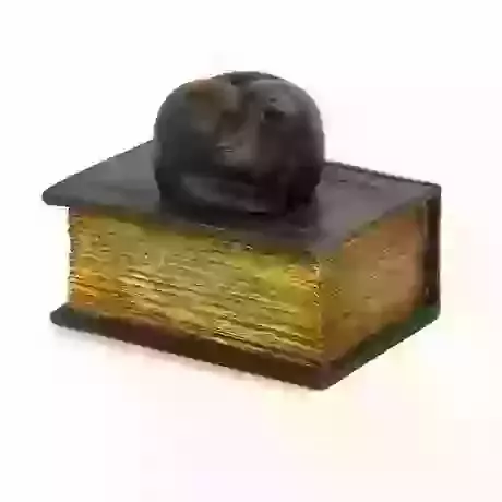 Bronze Cat on Book